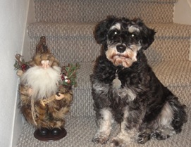 Me and Father Christmas - I later chewed u him up