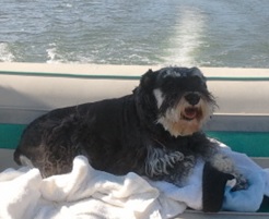Me on my boat in the Tennessee River