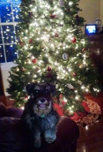 Lexi in front of tree