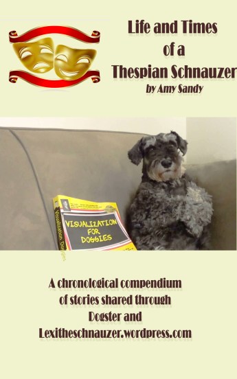 Lexi-book-cover-scaled-2-nonPSD