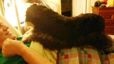 First get your dad's attention by stretch- ing out on top of him.