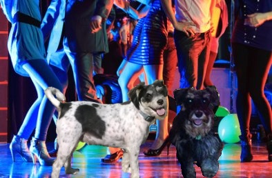 lexi and noodle night club