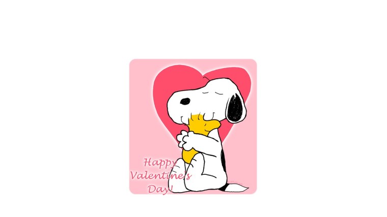 To Noodle, the best schnoodle anywhere!