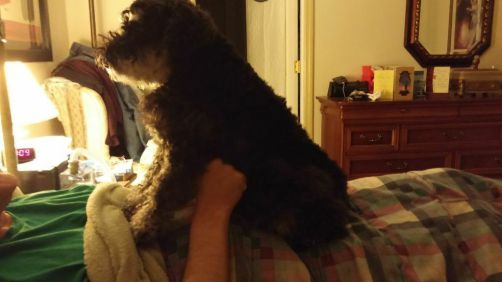 Then sit up so he can scratch your pits. That also digs your front feet into his chest.