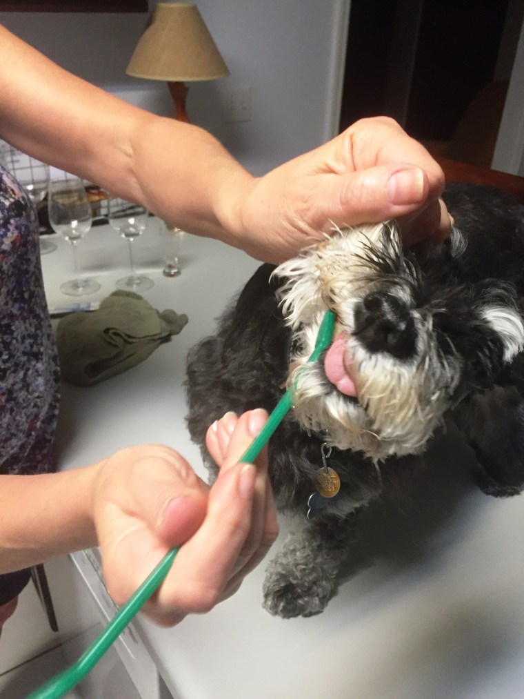 Agh! Let go of my beard!