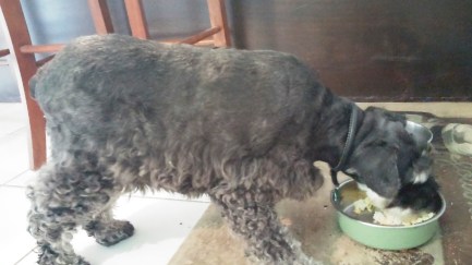 I was starved after being denied food all day!