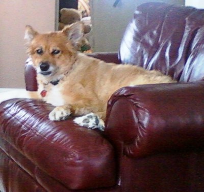 Lily, 11 years old