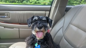 I'm not sticking my tongue out at you, I'm just hot!