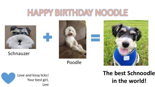 HAPPY BIRTHDAY NOODLE