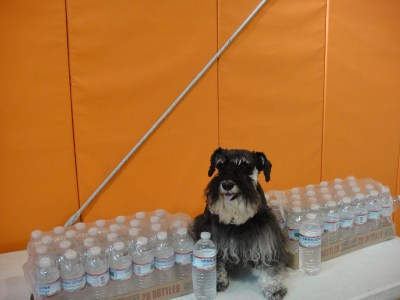 Lexi with CG Roxanne Water (1)