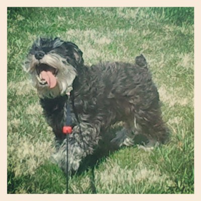 Piper running smiling