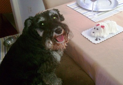 This picture is from my 10-year-old birthday party. I had a Healthy Choice meal with my Mom and Dad and then my very own cake shaped like a dog. I know, kinda’ weird, but Mom meant well. Can you see the happy all over my face?