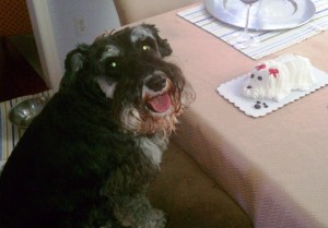 This picture is from my 10-year-old birthday party. I had a Healthy Choice meal with my Mom and Dad and then my very own cake shaped like a dog. I know, kinda’ weird, but Mom meant well. Can you see the happy all over my face?