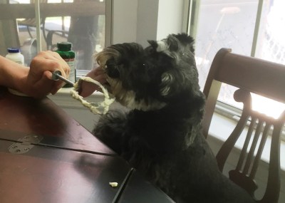 I love to help Mom in the kitchen.