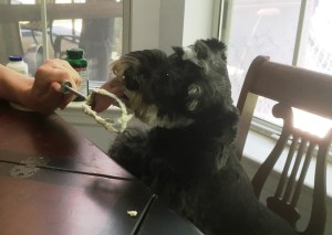 Special benefits of sitting at the kitchen table.