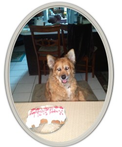 Lily the birthday girl