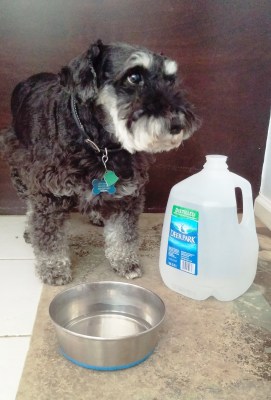 Are you sure this is ok to drink?