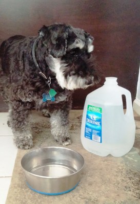 So this is my new water?