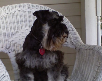 I liked to sit in the chair on the front porch and watch everything happening in the neighborhood.