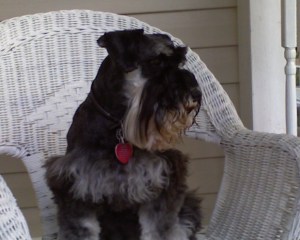 I liked to sit in the chair on the front porch and watch everything happening in the neighborhood.