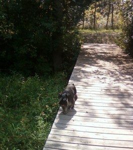 I enjoyed walking down to the river at the B&B. I love all the new smells.