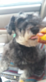 For me? Let me taste it.