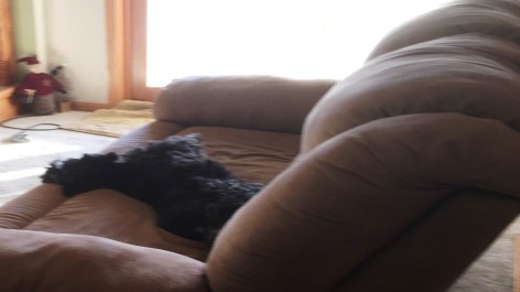 *stretch* They have been gone for hours.