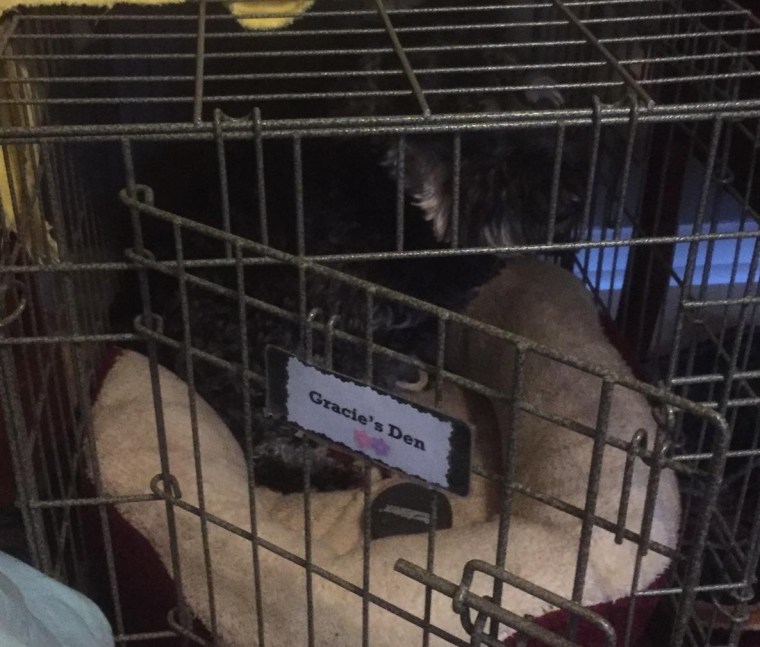 Me sharing Gracies kennel