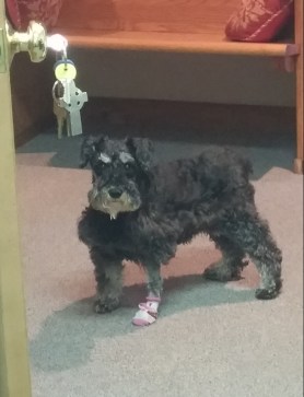 Outside Moms office