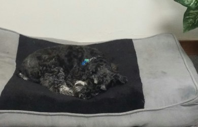 I got too comfy.