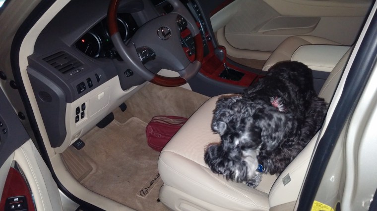 Get in Mom so we can go somewhere.