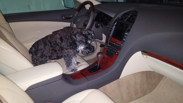 You're taking too long. Maybe I can figure out how to work this thing.