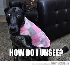 big dog eyes 1