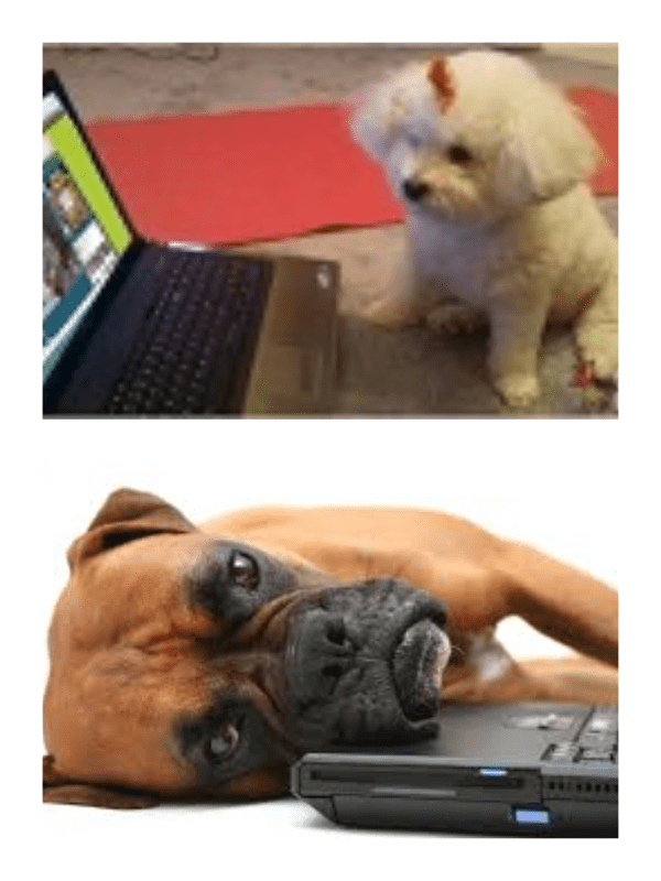 No! Get OFF the computer! Good help is hard to come by.