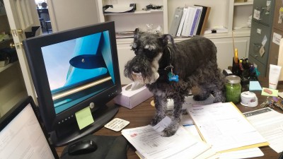 Here, do this paper first. Hey, what's that on your computer?