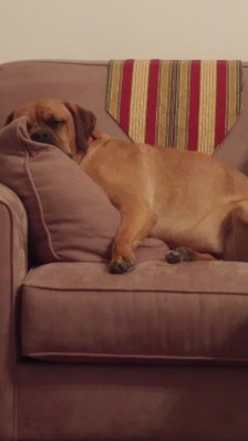 My exhausted friends.
