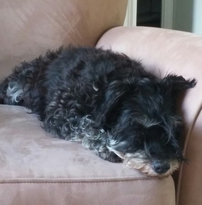 Piper: At my house and still not feeling good.