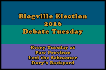 DebateTuesday