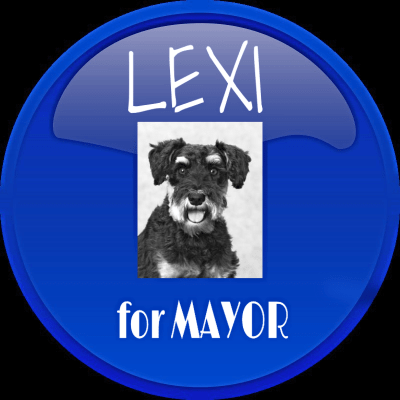 LEXI 4 MAYOR BLUE BUTTON