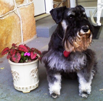 Lexi_sitting_by_plant_2