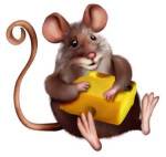 mouse with cheese