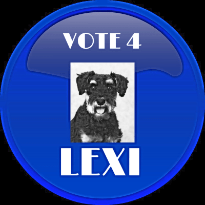 VOTE 4 LEXI