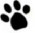 1 paw