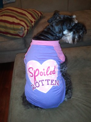 spoiled rotten