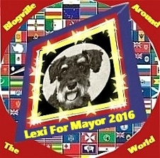 Campaign button world