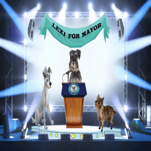 My Platform