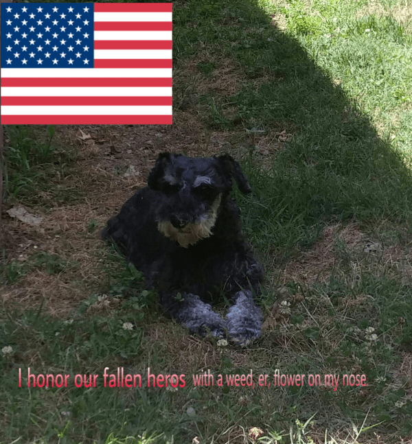 Memorial Day 2016