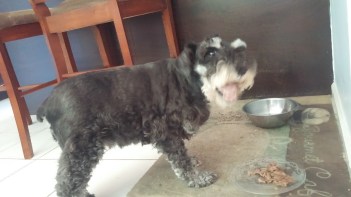 Hey, this cooked beef is really good!