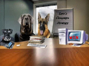 Lexis campaign strategy