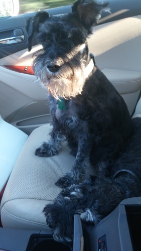 Wake me when we get there. (nnon)